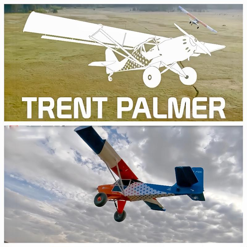 RC Model Fox Elektrische RC Vl - Rc Hobby Wing recensie en prijs